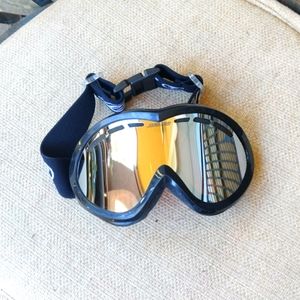 Santa Cruz Snowboard Goggles